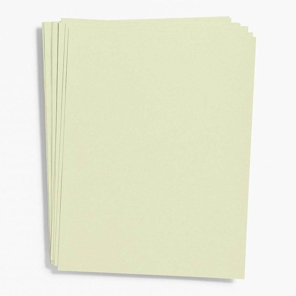 Waste Not Paper Sage Green Cardstock 50 Pack 26x20 Cover Paper Source 14325350-B